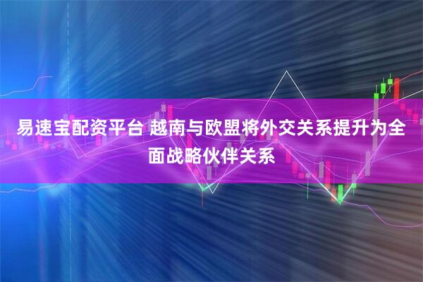 易速宝配资平台 越南与欧盟将外交关系提升为全面战略伙伴关系