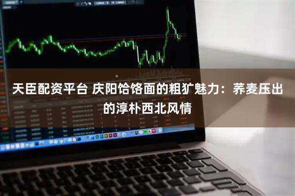 天臣配资平台 庆阳饸饹面的粗犷魅力：荞麦压出的淳朴西北风情